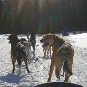 Meet your Posher, Christopher